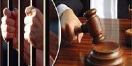 السجن المشدد 15 عامًا لعاطلين احتجزا شابًا وصوراه في أوضاع مخلة بالقليوبية - بلس 48