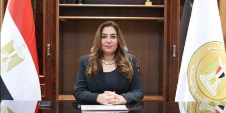وزيرة التنمية المحلية تتلقى تقريراً حول نتائج المرور الميدانى على 5 مراكز تكنولوجية بالفيوم - بلس 48