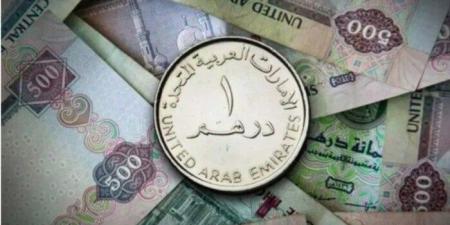 سعر الدرهم الإماراتي مقابل الجنيه اليوم السبت 2 أغسطس 2025 - بلس 48