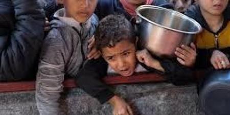 عشرات الشهداء والجرحى باستهداف الاحتلال منتظري المساعدات وخيام النازحين - بلس 48
