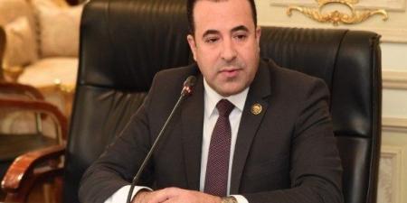 هل يمكن حجب تيك توك في مصر؟.. رئيس اتصالات النواب يُجيب - بلس 48
