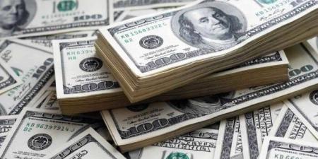 سعر الدولار اليوم الأحد 3 أغسطس 2025 خلال التعاملات المسائية - بلس 48