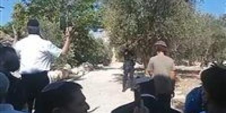 بن جفير يقتحم المسجد الأقصى ويدعو إلى احتلال غزة وفرض السيادة الإسرائيلية عليها - بلس 48