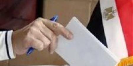 غلق باب التصويت باليوم الثاني والأخير لانتخابات مجلس الشيوخ للمصريين المقيمين في آخر لجنتين بلوس أنجلوس وكاليفورنيا - بلس 48