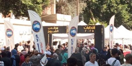 انتخابات الشيوخ 2025.. إقبال كثيف على لجان التصويت في المقطم - بلس 48