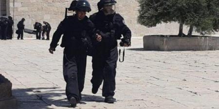 الاحتلال يعتدي على صحفيين ويتسبب في اندلاع حريق شمال القدس - بلس 48