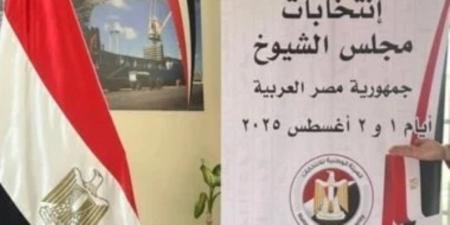 بعثة الجامعة العربية تشيد بتنظيم انتخابات "الشيوخ".. ويؤكد: تطور ملحوظ يعكس الثقة بالتجربة الديمقراطية - بلس 48