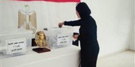 بعد قليل..انطلاق التصويت بانتخابات مجلس الشيوخ 2025 - بلس 48