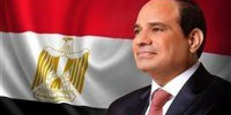 الرئيس عبد الفتاح السيسي يدلى بصوته بانتخابات مجلس الشيوخ لعام ٢٠٢٥ في مصر الجديدة - بلس 48