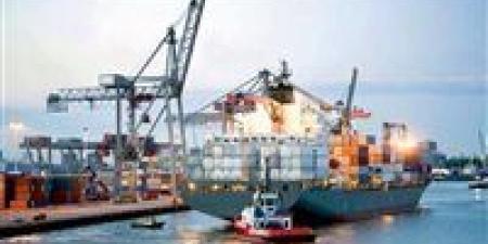 الصادرات الصناعية المصرية تتجاوز 17.6 مليار دولار.. هل تستمر الوتيرة؟ - بلس 48