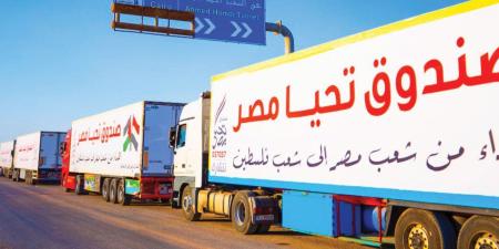 «رئيس دائرة شئون القدس» يشيد بجهود مصر لوقف إطلاق النار بغزة وإدخال المساعدات - بلس 48