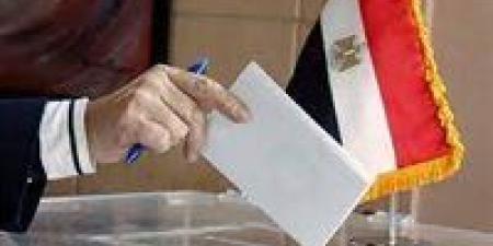 المدير التنفيذي للهيئة الوطنية للانتخابات: اليوم الأول لانتخابات الشيوخ شهد انقطاعات للكهرباء .. والحبر الفسفورى مقتصر على الاستفتاءات والانتخابات الرئاسية - بلس 48
