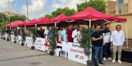 انتخابات الشيوخ 2025.. توافد الناخبين على مقار لجان التصويت في محافظة القاهرة (فيديو) - بلس 48