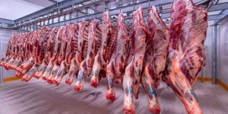 الكندوز بـ 400 جنيه.. أسعار اللحوم اليوم الثلاثاء 5-8-2025 - بلس 48