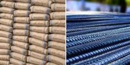 ارتفاع أسعار الحديد إلى 40,111 جنيهًا وتراجع الأسمنت إلى 3,877 جنيهًا في 5 أغسطس 2025 - بلس 48