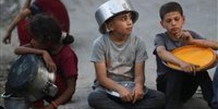 «بعد فيديو الرهينة الجائع».. إسرائيل تعلن السماح بإدخال البضائع إلى غزة عبر تجار محليين - بلس 48