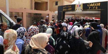 انتخابات الشيوخ 2025.. 8286 مقرا يستقبل الناخبين في ثاني أيام التصويت بأنحاء الجمهورية - بلس 48