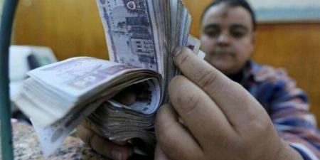 مؤشر مديري المشتريات في مصر يرتفع لـ 49.5 نقطة خلال يوليو 2025 (تفاصيل) - بلس 48