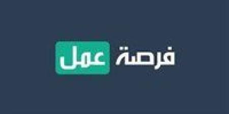 وظائف في الإمارات برواتب تصل لـ160 ألف جنيه.. ما المؤهلات المطلوبة؟ - بلس 48