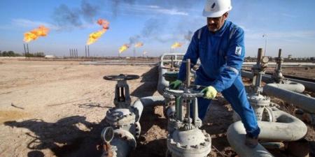 انخفاض واردات مصر من المنتجات البترولية إلى 4.11 مليار دولار في أول 5 أشهر من 2025 - بلس 48