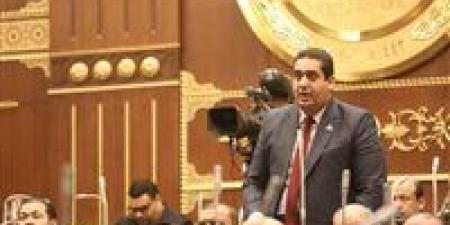 مرشحا مستقبل وطن وليد التمامى وحماة الوطن أمير الصديق يحصلان على 50%+1 بانتخابات الشيوخ في دمياط .. وينتظران قرار الهيئة الوطنية النهائى - بلس 48