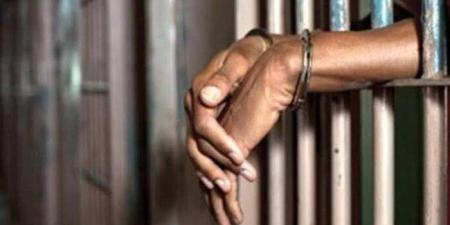المشدد 15 سنة لعاطل بتهمة حاز بندقية وأصابه شخص بشبرا الخيمة - بلس 48