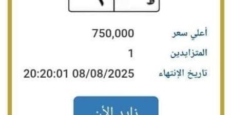 اقتربت من مليون جنيه.. «المرور» تطرح التزايد على لوحة سيارة مميزة - بلس 48