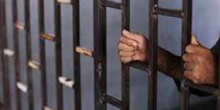 الداخلية تكشف ملابسات سرقة قضبان السكك الحديدية بالغربية وتضبط المتهمين - بلس 48