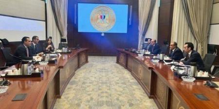 وزيرا الخارجية والاستثمار يؤكدان ضرورة تعزيز مكانة مصر إقليميًا ودوليًا - بلس 48