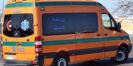 مصرع وإصابة 15 في انقلاب ميكروباص على الطريق الصحراوي بالمنيا - بلس 48