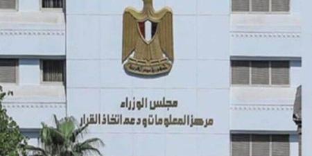 «معلومات الوزراء» يستعرض أهم فرص توطين صناعة ألواح الطاقة الشمسية في مصر - بلس 48