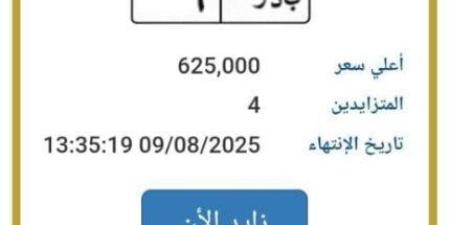 «بدر 6».. المرور تطرح التزايد على لوحة سيارة مميزة | اعرف الخطوات - بلس 48