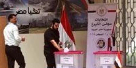 الوطنية للانتخابات: عدم قبول 17 تظلم لخلوها من أي دليل أو مستند.. والنتيجة النهائية يوم الثلاثاء - بلس 48