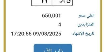 اقتربت من مليون جنيه.. مزايدة نارية على لوحة سيارة مميزة - بلس 48