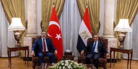القاهرة وأنقرة تؤكدان رفض مخططات الاحتلال الإسرائيلي في غزة وتدعوان لتكثيف الجهود لوقف الحرب - بلس 48