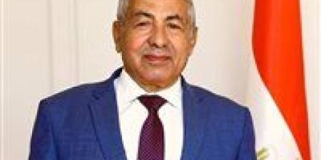 حماة الوطن: نجاح انتخابات مجلس الشيوخ 2025 يعكس ما تتمتع به الدولة من استقرار - بلس 48