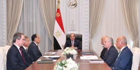 مصر.. الرئيس السيسي يوافق على صرف البدل النقدي المقترح من الحكومة للصحفيين - بلس 48
