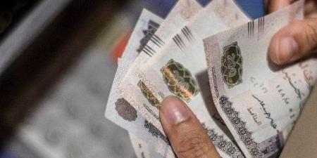 موعد صرف مرتبات شهر أغسطس 2025 بعد زيادة الحد الأدنى للأجور - بلس 48