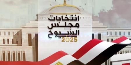 الهيئة الوطنية تعلن نتيجة انتخابات مجلس الشيوخ 2025 للمرحلة الأولي غدًا - بلس 48