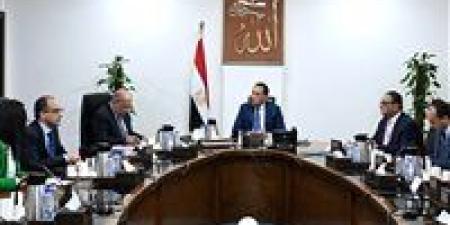 رئيس الوزراء يتابع الموقف التنفيذي لتوفير التغذية الكهربائية لمشروعات التنمية الزراعية بالدلتا الجديدة - بلس 48
