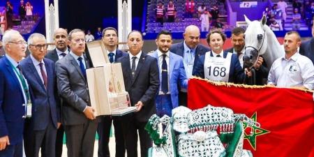 الجديدة
      تتوج
      الخيول
      الأصيلة..
      والمغرب
      ينال
      الذهب
      في
      صنف
      الفحول - بلس 48