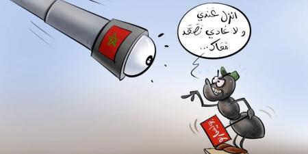 البوليساريو
      تستغل
      "جيل
      Z"
      في
      التلفيق - بلس 48