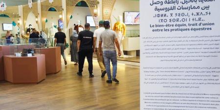 معرض
      الفرس
      يجذب
      150
      ألف
      زائر - بلس 48