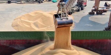 طلب
      المغرب
      المتزايد
      على
      "القمح
      الطري"
      يفتح
      شهية
      المصدرين
      الفرنسيين - بلس 48