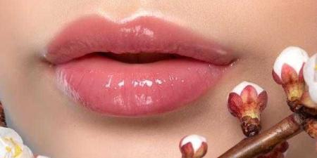 وصفات
      طبيعية
      لتوريد
      وتكبير
      الشفايف - بلس 48