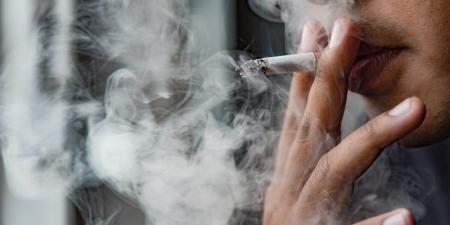 انخفاض
      نسبة
      استهلاك
      التبغ
      عالميا - بلس 48