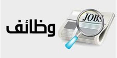 هتقبض
      22
      ألف
      جنيه
      شهريا..
      فرص
      ... - بلس 48