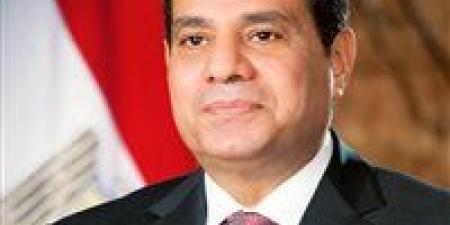 الرئيس
      السيسي:
      نحافظ
      على
      مناخ
      الحرية
      دون
      المساس
      بأمن
      الدولة - بلس 48