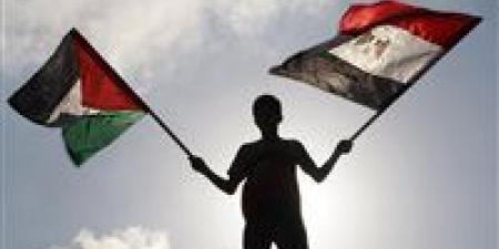 محمود
      طلحة:
      الأسباب
      الرئيسية
      لخطة
      الخداع
      في
      حرب
      أكتوبر
      كانت
      تهدف
      إلى
      تخدير
      إسرائيل - بلس 48