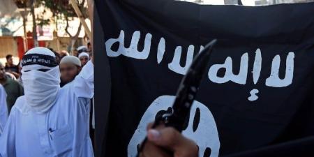 "لا
      يفتي
      قاعد
      لمجاهد"..
      بوشيخي
      يبحر
      في
      تحولات
      منظومة
      "السلفية
      المسلحة" - بلس 48